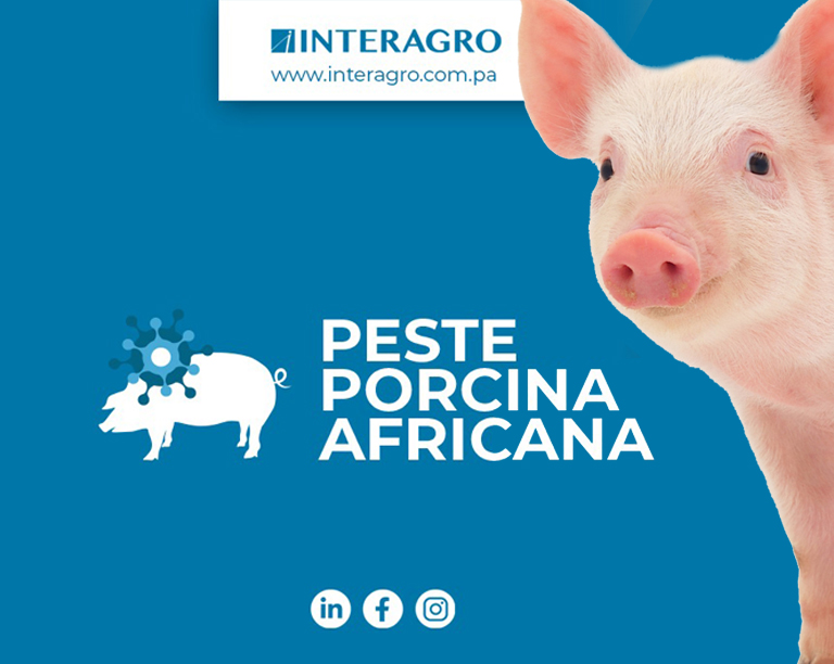 fiebre porcina africana interagro desinfeccion blog