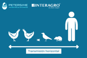 transmision horizontal avicultura interagro