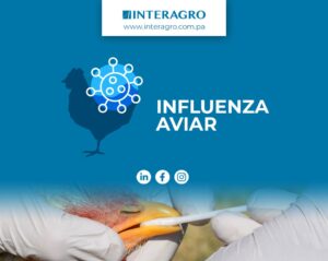 influenza aviar interagro